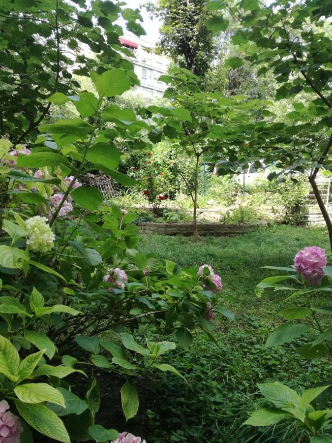 Vracar Krunska Jamiva Daire Belgrad Dış mekan fotoğraf