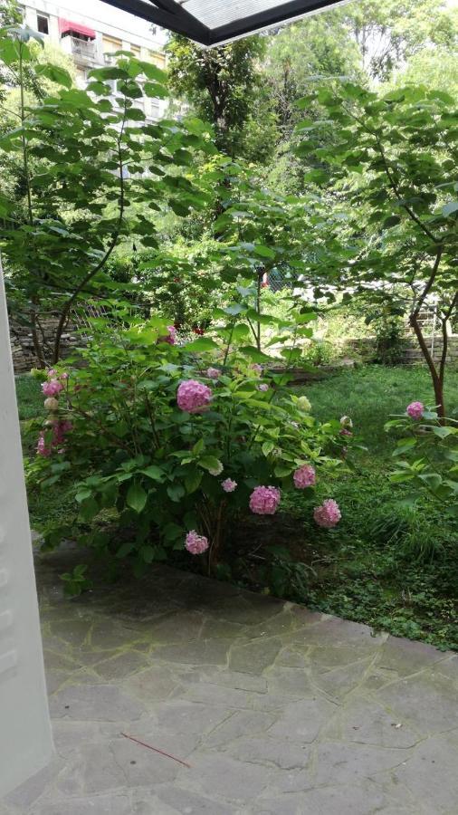 Vracar Krunska Jamiva Daire Belgrad Dış mekan fotoğraf