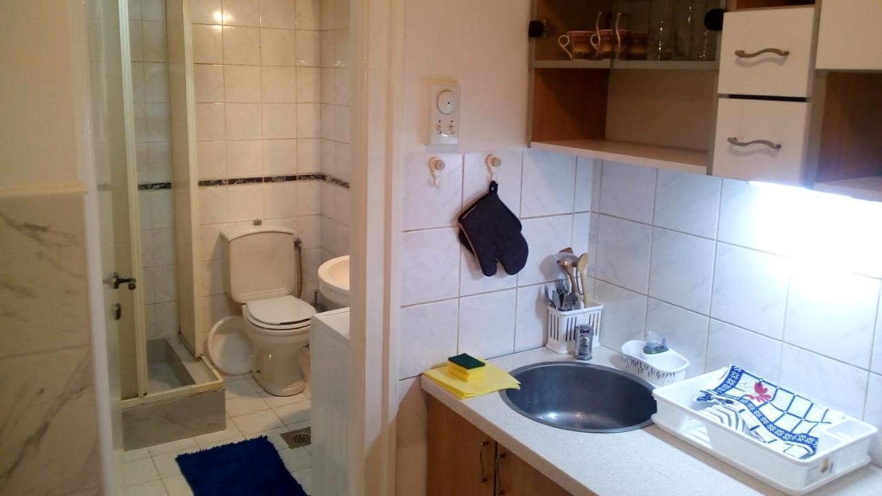 Vracar Krunska Jamiva Daire Belgrad Dış mekan fotoğraf